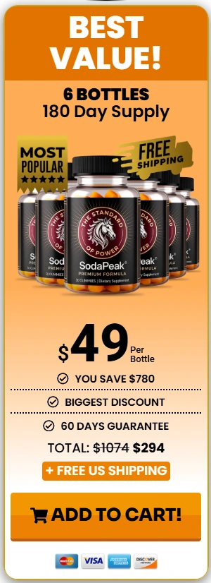 SodaPeak- 6 Bottle